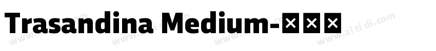 Trasandina Medium字体转换